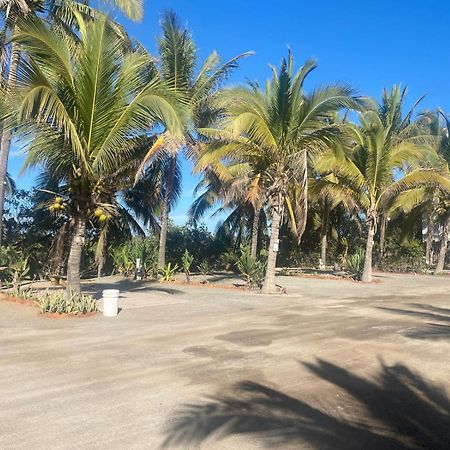 Bungalows Laguna Del Tule San Patricio Melaque Εξωτερικό φωτογραφία